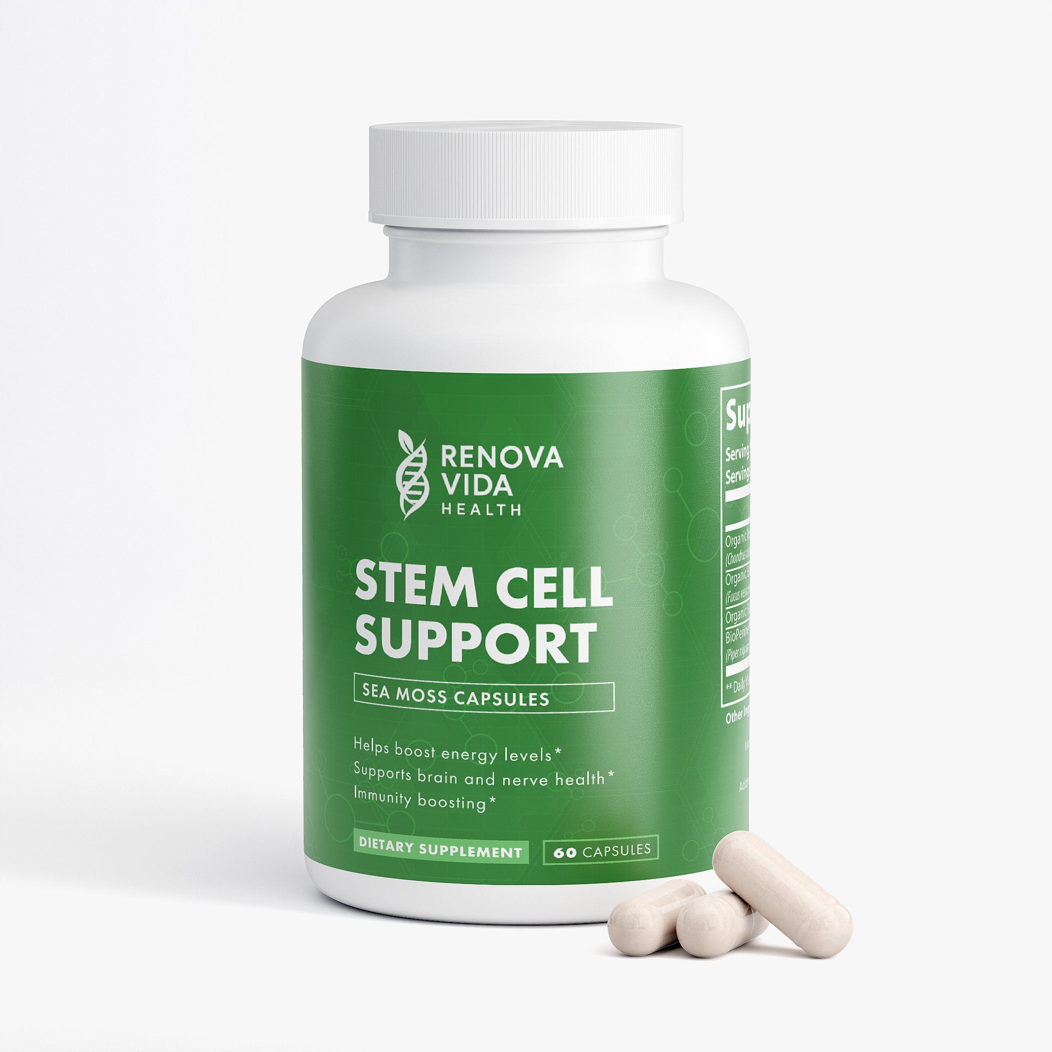 Stem Cell Support
