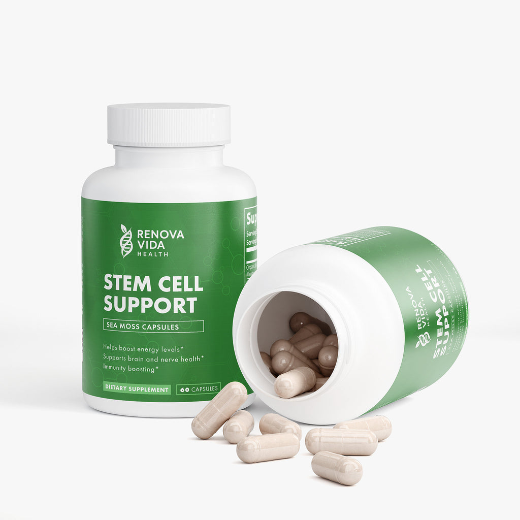 Stem Cell Support