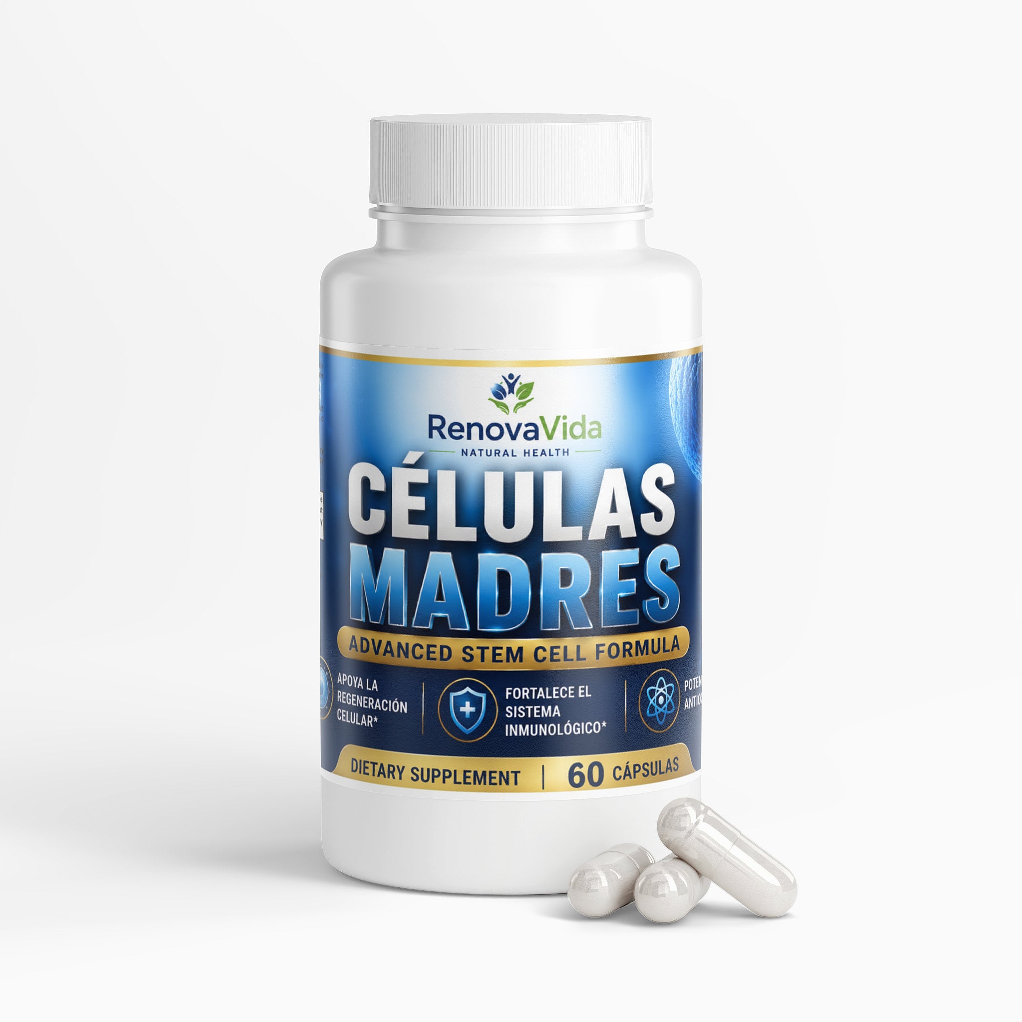 CELULAS MADRES