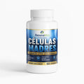 CELULAS MADRES