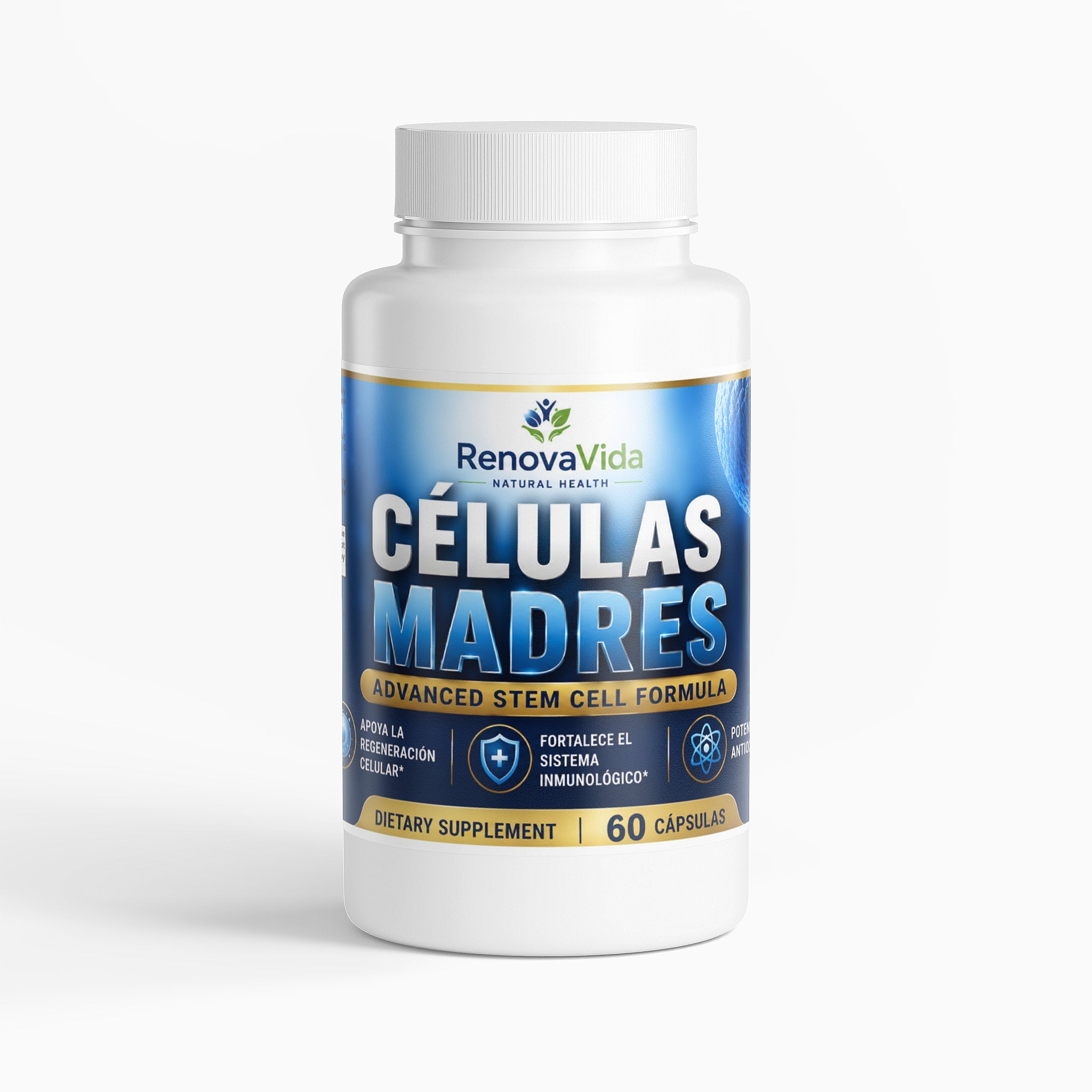 CELULAS MADRES