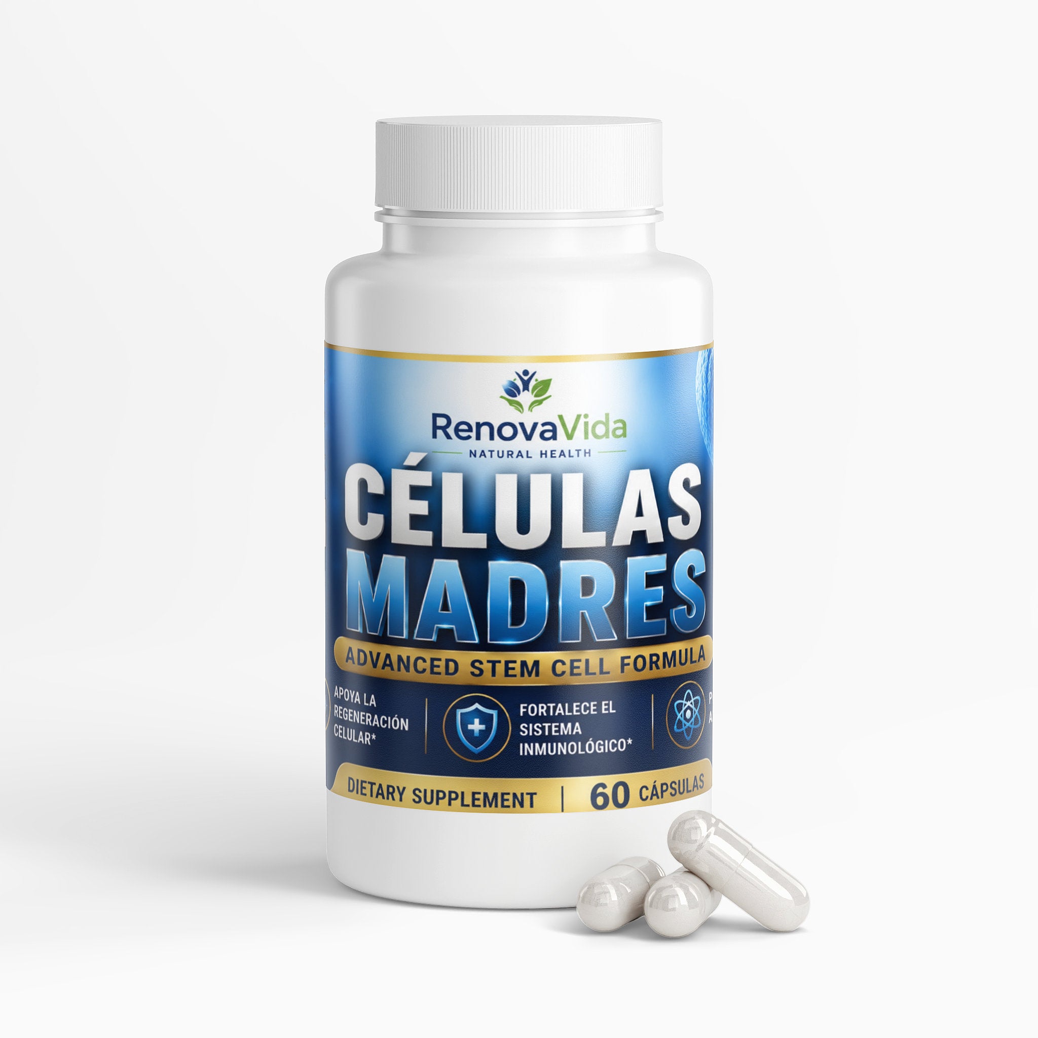 CELULAS MADRES