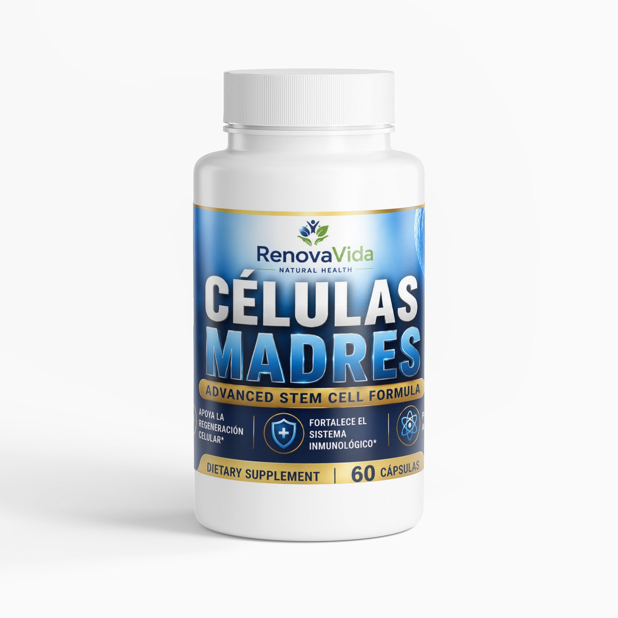 CELULAS MADRES